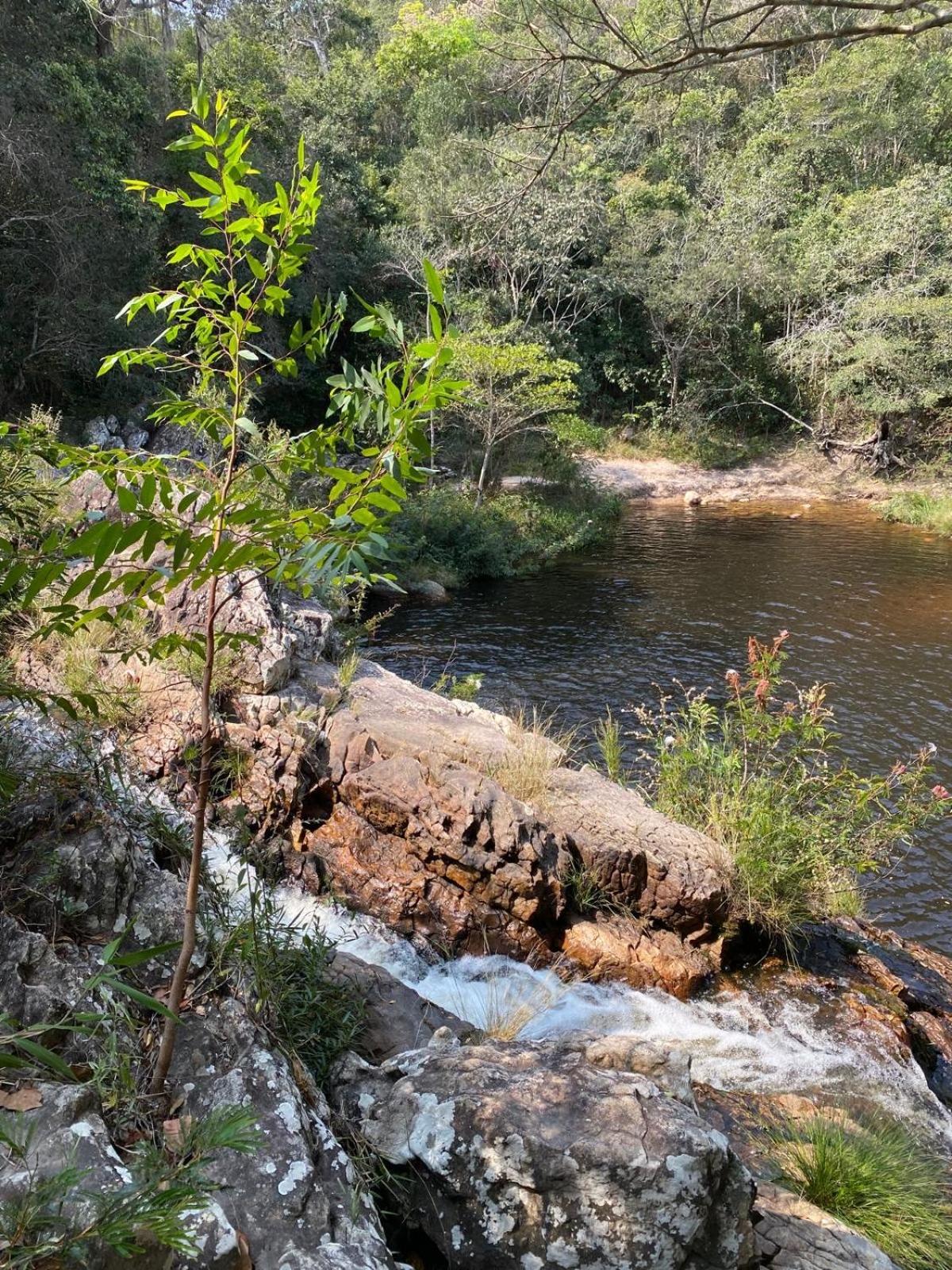 Reserva Do Bosque Hospedaria E Natureza イビコアラ エクステリア 写真