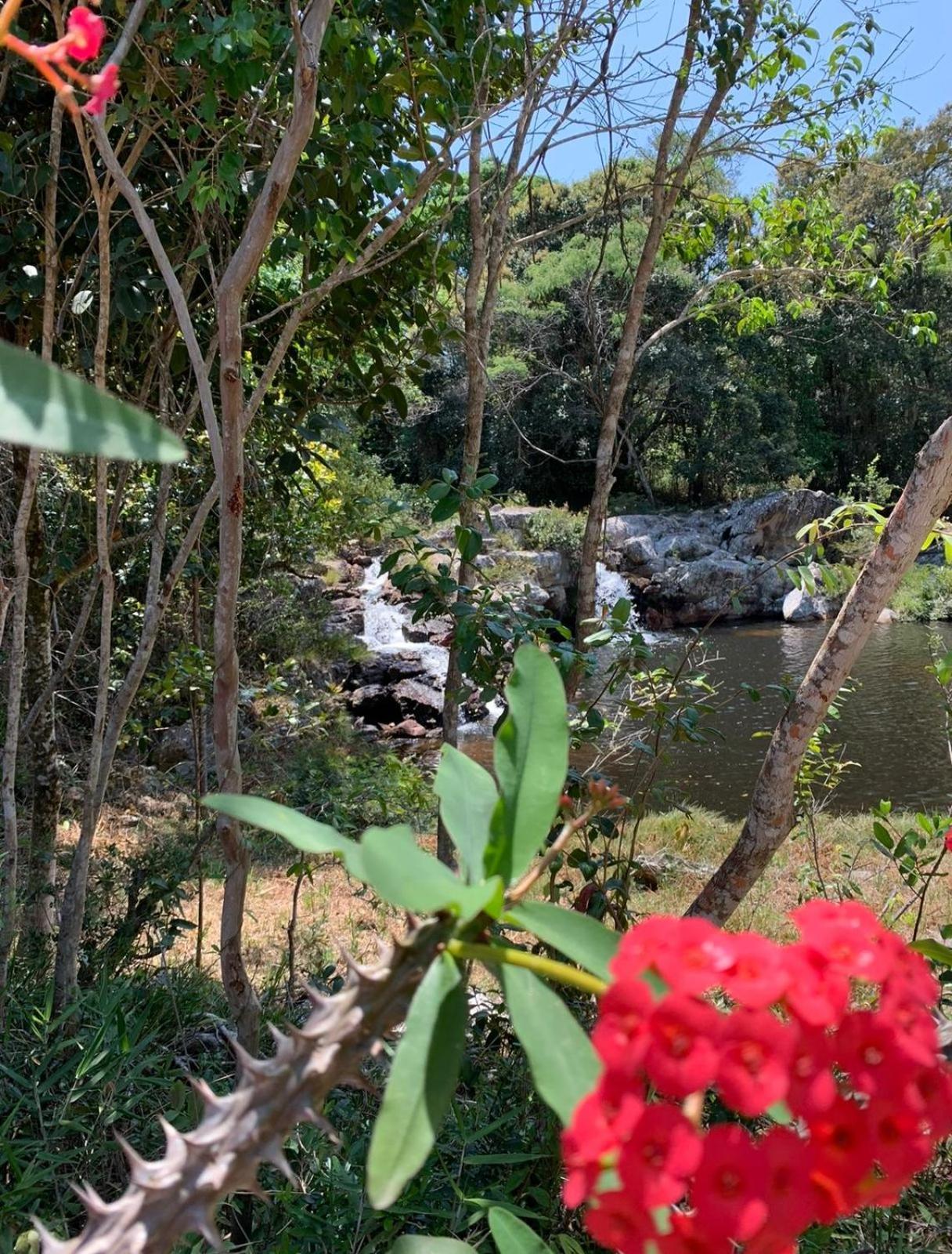 Reserva Do Bosque Hospedaria E Natureza イビコアラ エクステリア 写真